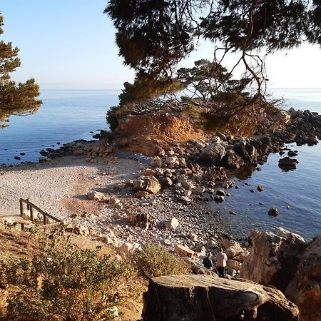 Sous Le Soleil Διαμέρισμα Bandol Εξωτερικό φωτογραφία
